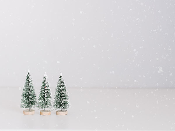 Tierfriedhof-Muenster-Abholzeiten